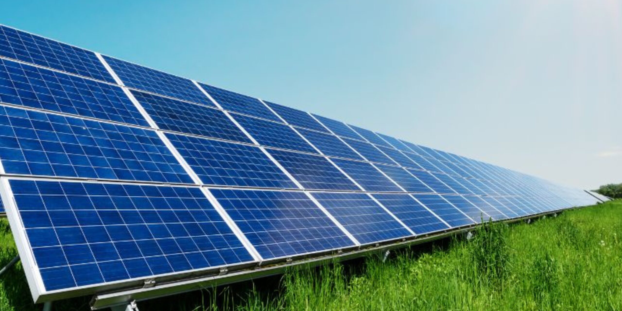 EPC Solar Plant Installer